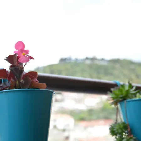 Biser * טרביניה